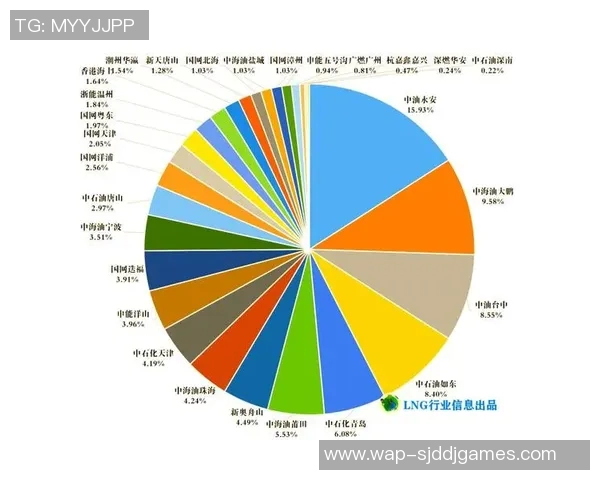 电竞新闻独家解析LNG灵活性对比及其在全球市场中的应用前景